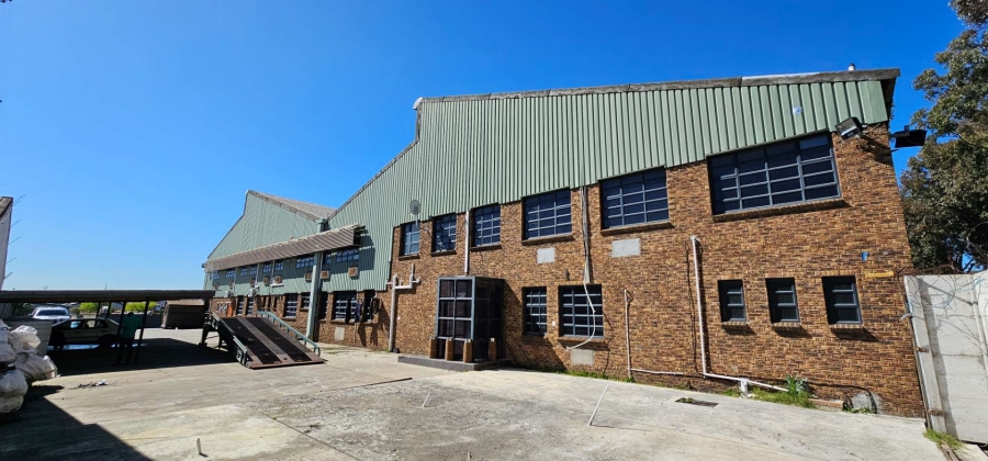 To Let commercial Property for Rent in Beaconvale Western Cape